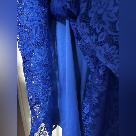 Puff sleeve lace A-line dress - SHEIN curve - Picture 5 of 7